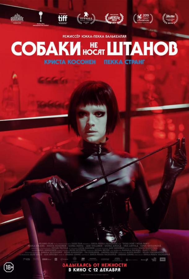 Собаки не носят штанов 2019 Смотреть Онлайн Бесплатно в Хорошем Качестве
